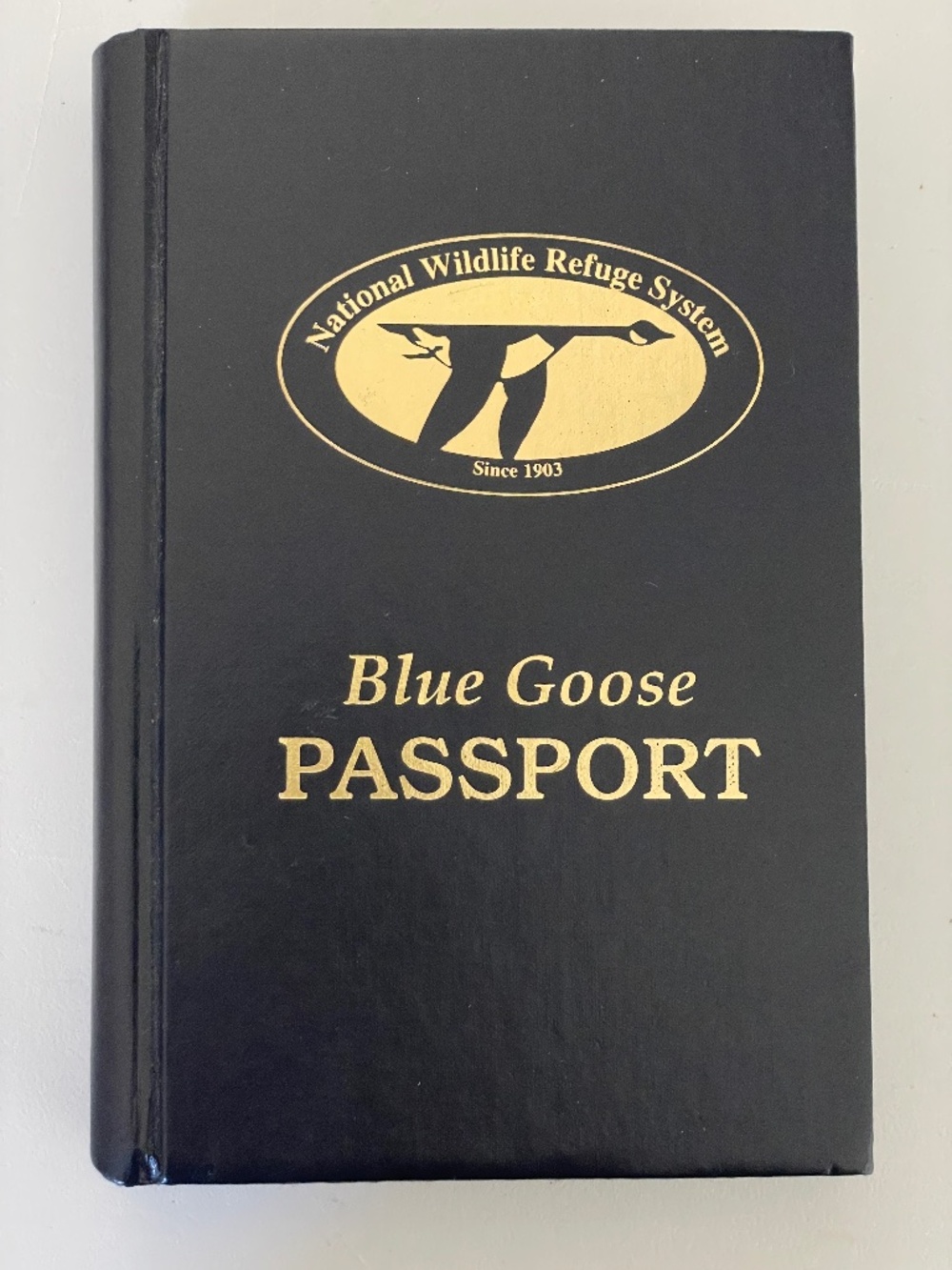 Rare Vintage Blue Goose Passport Hardcover (1999 First Edition) VGC
